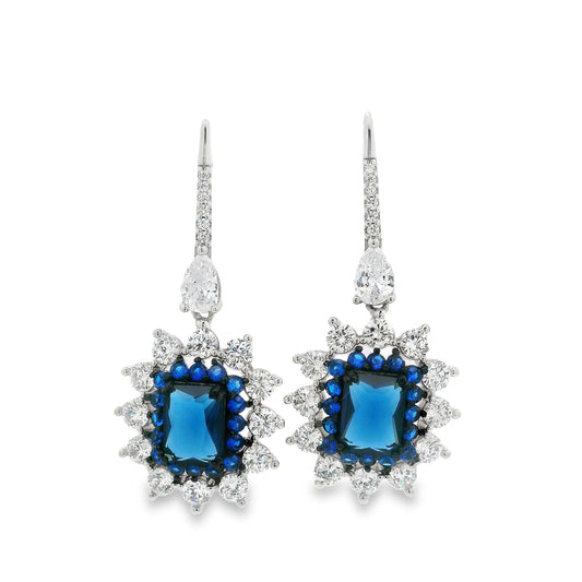 Radiant Drop elegant Earrings- KE192189
