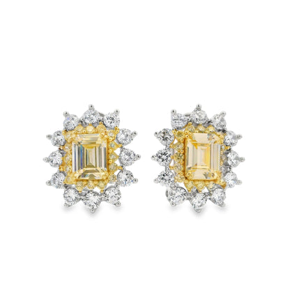 Elegant Emerald Cut Earring - KE102195