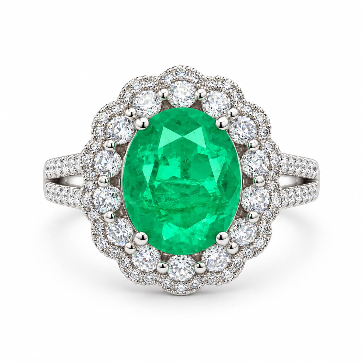 Oval Double Halo Statement Ring - KR66973