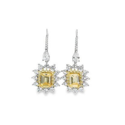 Radiant Drop elegant Earrings- KE192189