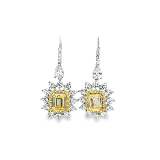 Radiant Drop elegant Earrings- KE192189