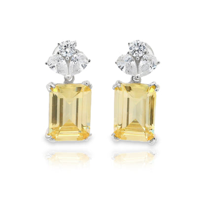Fancy Emerald Cut Medium Earring - KE192013