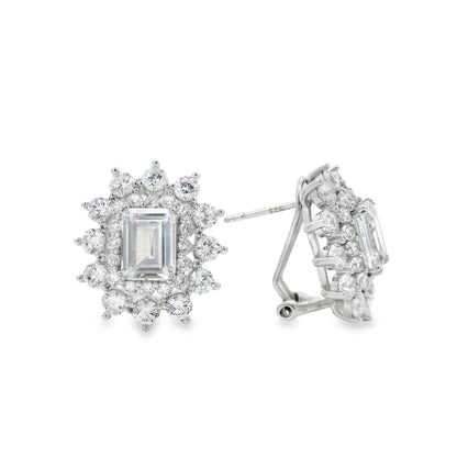 Elegant Emerald Cut Earring - KE102195