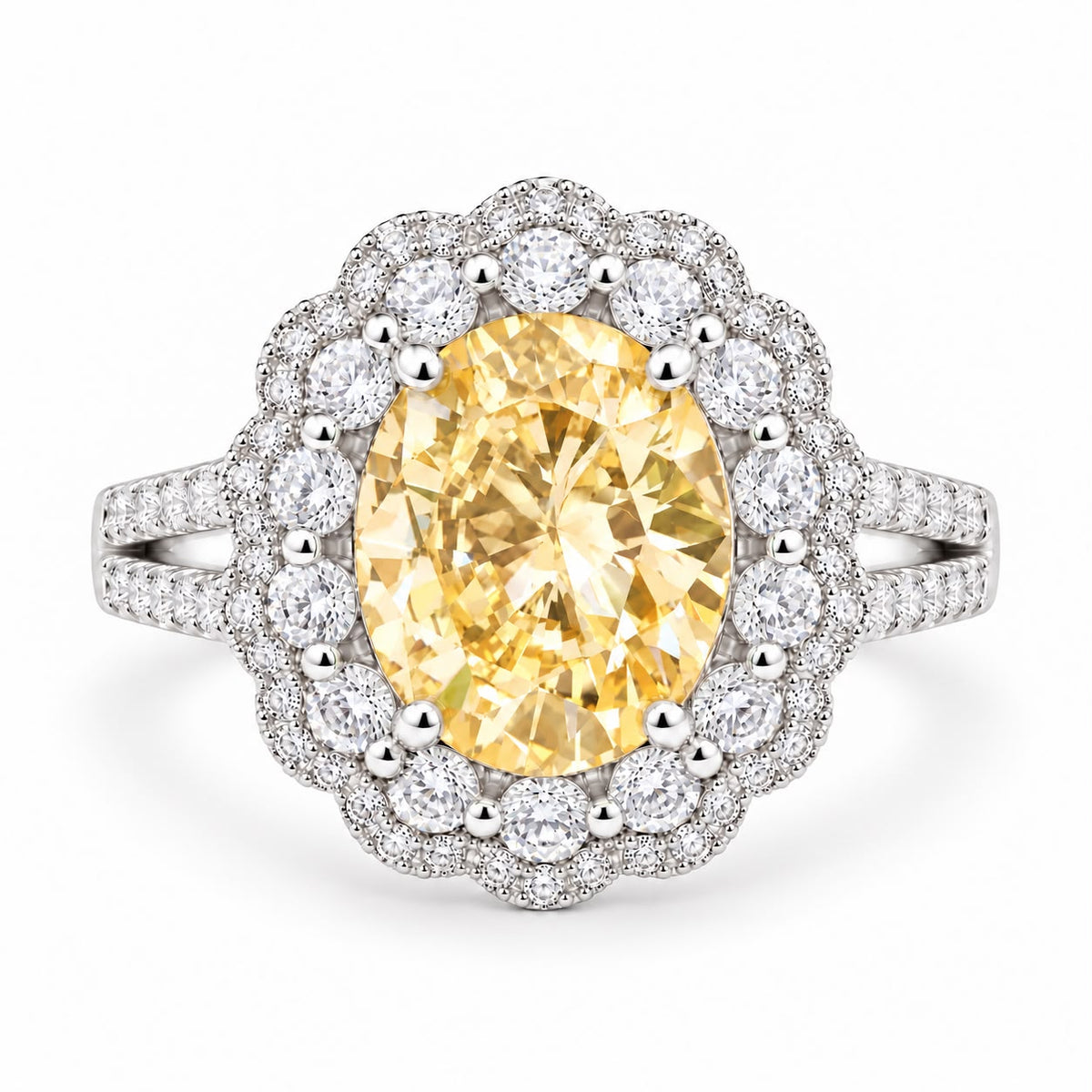 Oval Double Halo Statement Ring - KR66973