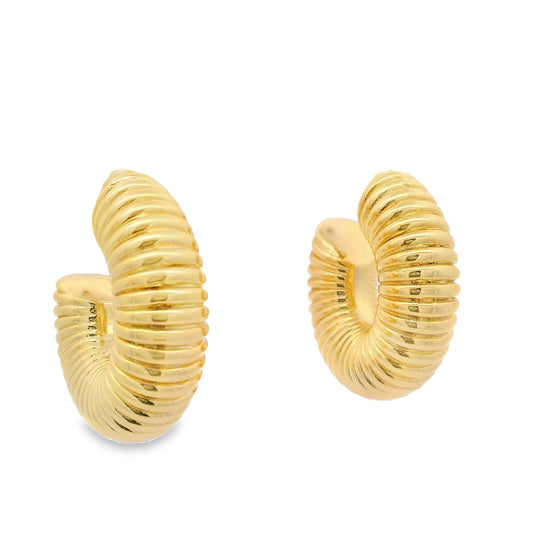 Coil Hoops - AE15242