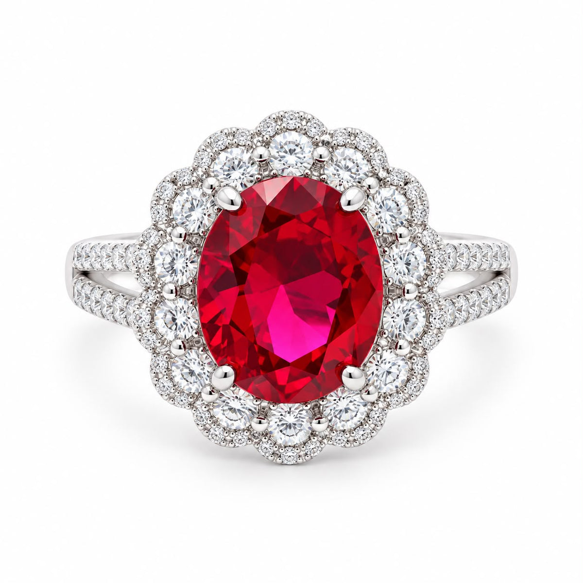 Oval Double Halo Statement Ring - KR66973